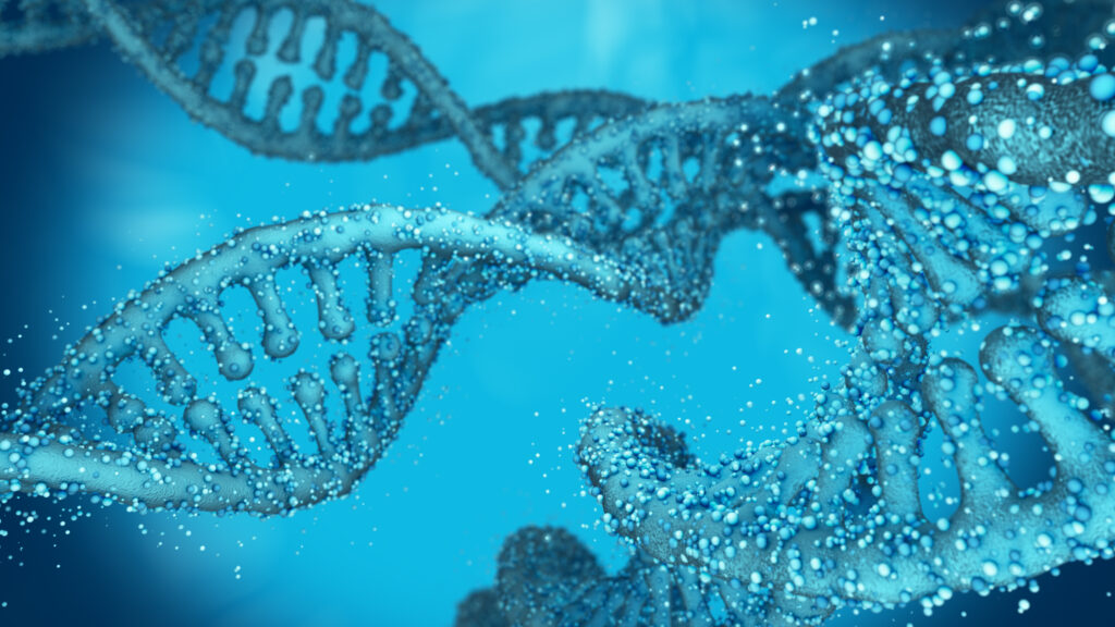 Hallmarks of Aging – DNA Strang – Deoxyribonucleic acid (DNA) chains